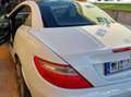 Mercedes-Benz SLK 200 SLK 200 (BlueEFFICIENCY) Білий - thumbnail 2
