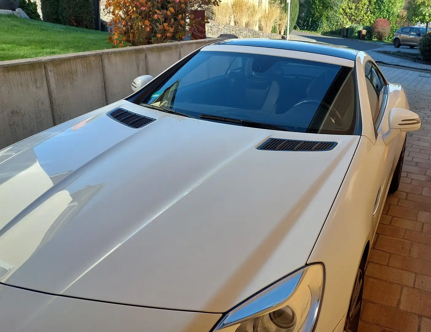 Mercedes-Benz SLK 200 SLK 200 (BlueEFFICIENCY) Білий - 1