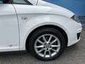 SEAT Altea XL Altea XL Chili-Copa 1,6 CR TDi Chili-Copa Weiß - thumbnail 7
