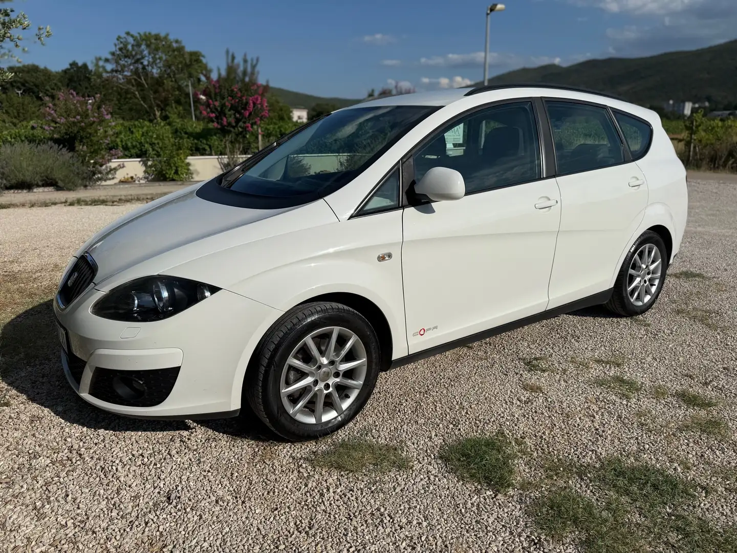 SEAT Altea XL Altea XL Chili-Copa 1,6 CR TDi Chili-Copa Weiß - 1