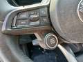 Alfa Romeo Tonale 1.6 diesel 130 CV TCT6 Super Rosso - thumbnail 15