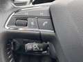 SEAT Ibiza 1.0 TSI FR Business Intense Led Navi PDC Navi Came Negro - thumbnail 16