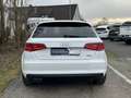 Audi A3 Sportback 2.0 TDI Quattro Automatik 184PS Weiß - thumbnail 5