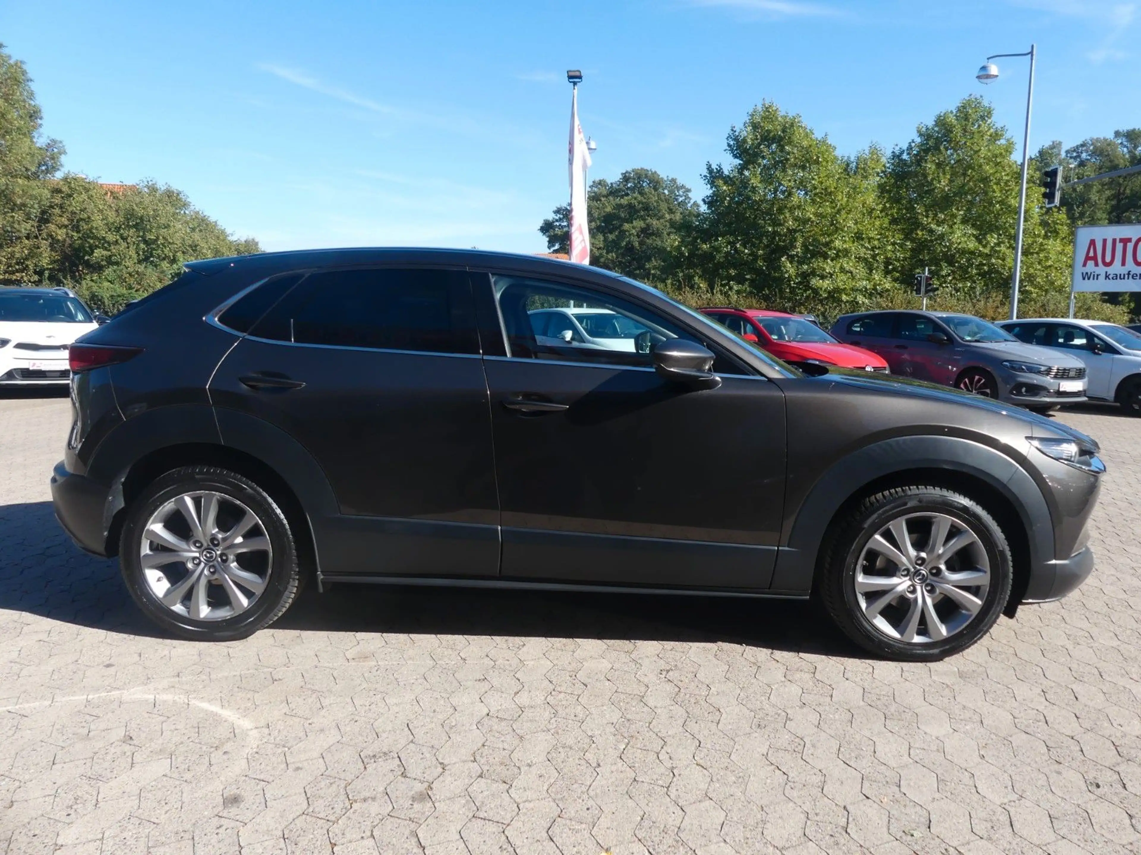 Mazda CX-30 2WD BOSE*Head-UP*Leder*Navi*ab 199€ — photo 6