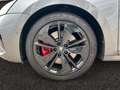 Skoda Octavia RS Combi 2.0 TSI DSG/Matrix/Canton/Pdach Grau - thumbnail 15