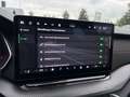 Skoda Octavia RS Combi 2.0 TSI DSG/Matrix/Canton/Pdach Grau - thumbnail 11