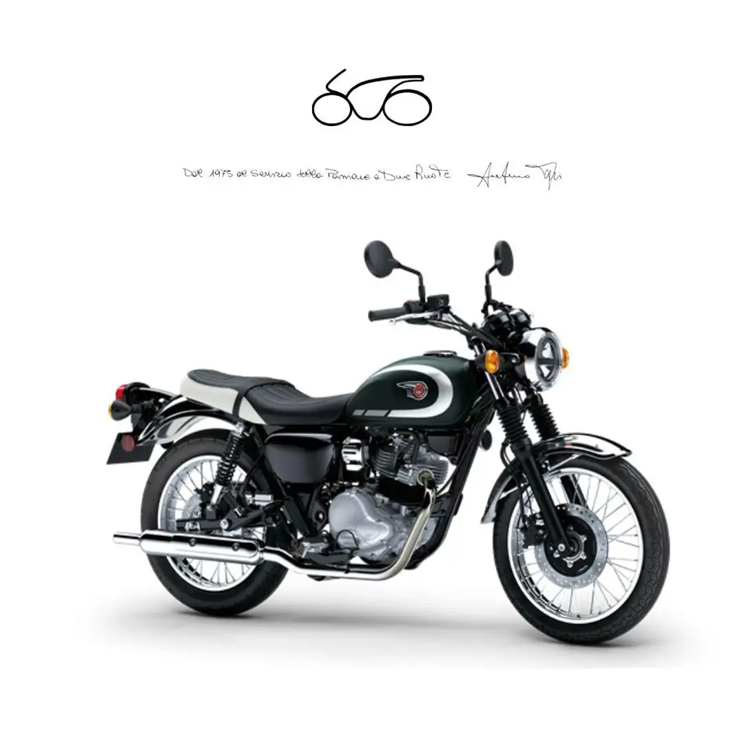 Kawasaki W 230 . Verde - 1