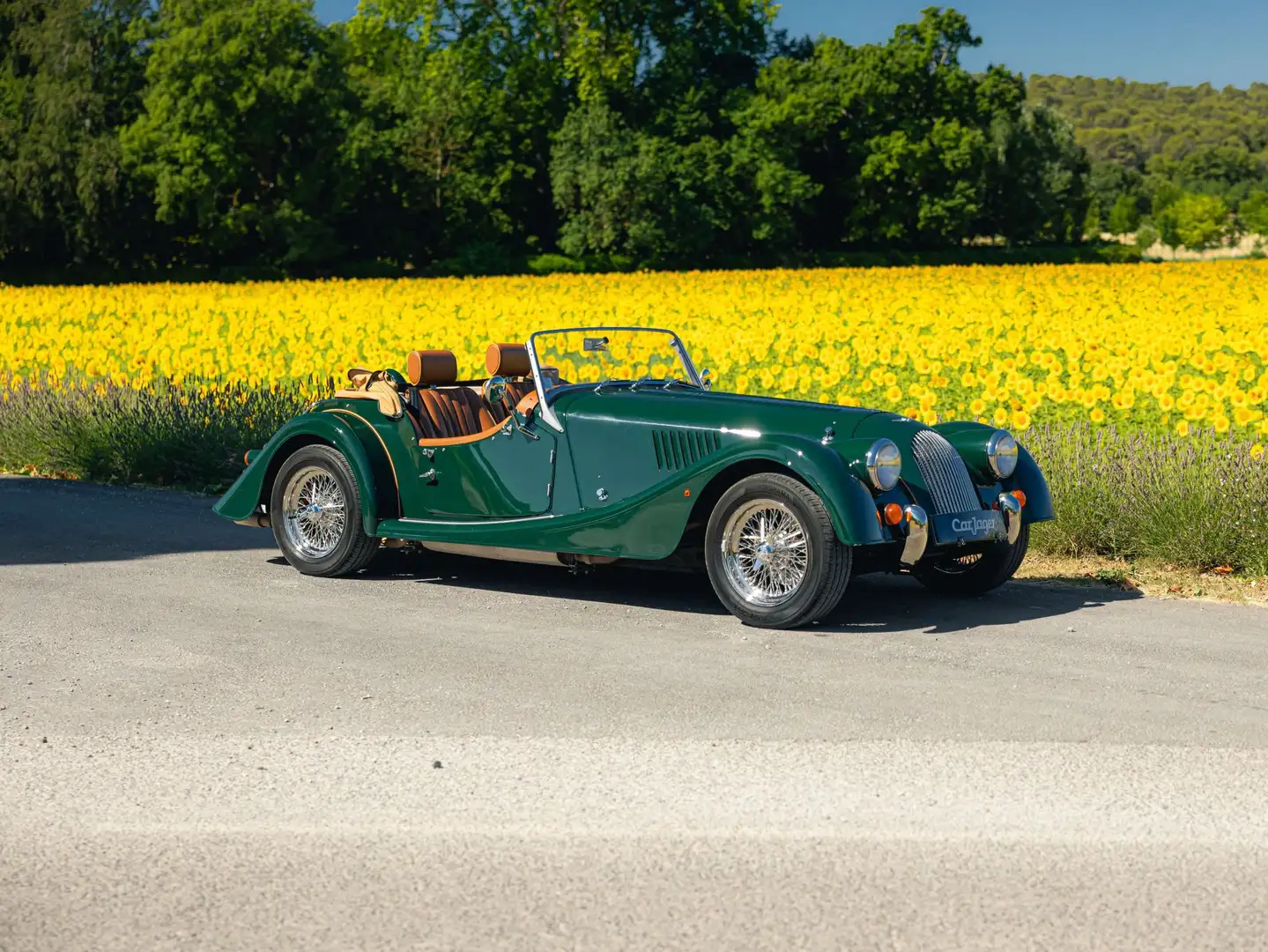 Morgan Plus 4 Vert - 1