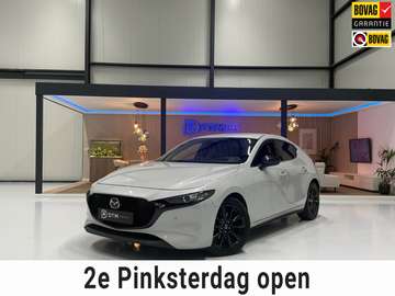 2.0 e-Hybrid 150 Homura Aut. | HUD | Trekhaak | AC