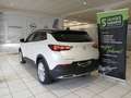 Opel Grandland 2.0 D Fin. ab 2,99% AHK+LED+Navi+SHZ Weiß - thumbnail 3