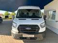 Ford Transit Kasten 350 L3H2 Trend +PDC+DAB+SHZ+Klima+ Wit - thumbnail 2