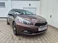 Kia Ceed / cee'd Ceed Sportswagon Edition 7 - ALLWETTER - 2.HD Brun - thumbnail 7