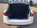 Skoda Fabia 4ª serie 1.0 TSI EVO 95 CV Young Edition Bianco - thumbnail 14