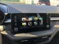 Skoda Fabia 4ª serie 1.0 TSI EVO 95 CV Young Edition Bianco - thumbnail 10
