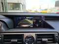 Lexus IS 300 300h Hybrid Business Line PDC | CAMERA | NAV | Sch Grijs - thumbnail 22