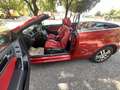 Volkswagen Golf Cabriolet Golf VI Cabrio 2.0 TDI Rot - thumbnail 1