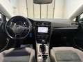 Volkswagen Golf VII 5p 1.4 tgi Business 110cv Grau - thumbnail 12