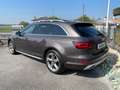 Audi A4 allroad Quattro 3.0 TDI Business Evolution tiptronic my16 Braun - thumbnail 3