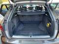 Audi A4 allroad Quattro 3.0 TDI Business Evolution tiptronic my16 Braun - thumbnail 14