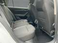 Skoda Octavia Combi 2.0 TDI DSG AMBITION BEAM+NAVI+AHK Weiß - thumbnail 13