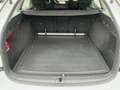 Skoda Octavia Combi 2.0 TDI DSG AMBITION BEAM+NAVI+AHK Weiß - thumbnail 14