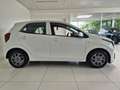 Kia Picanto Vision*Navi*SzHeizung*Kamera* Blanc - thumbnail 4