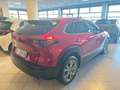 Mazda CX-30 CX-30 2.0 m-hybrid Executive Appearance P.122cv6mt Rojo - thumbnail 6