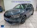 Skoda Fabia Ambition*Kamera*Smartlink*PDC*DAB+*Navi* Gris - thumbnail 6
