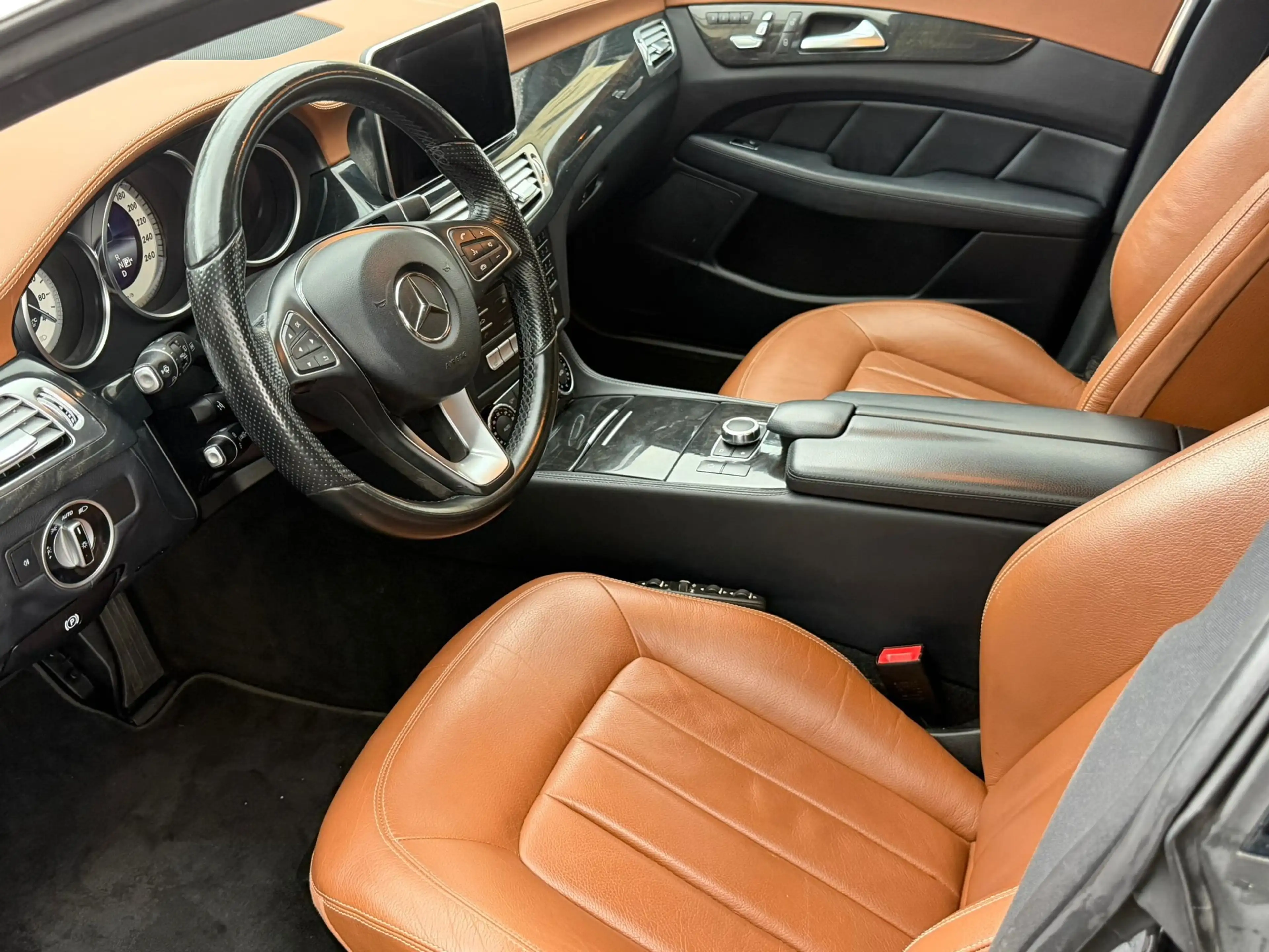 Mercedes-Benz CLS 250 CLS 250 BlueTEC 4-Matic — photo 14
