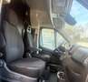 Opel Movano C Kasten L3H3 3,5t Selection Grijs - thumbnail 9