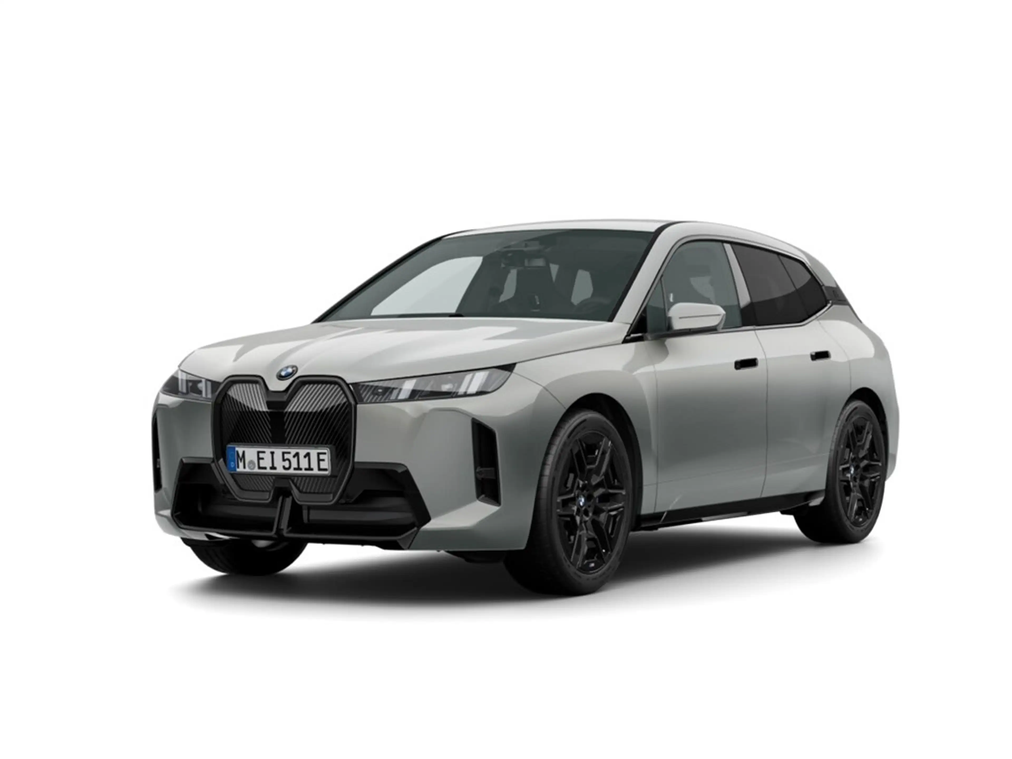 BMW iX xDrive45 M Sport Pro H&K LED Park-Assistent