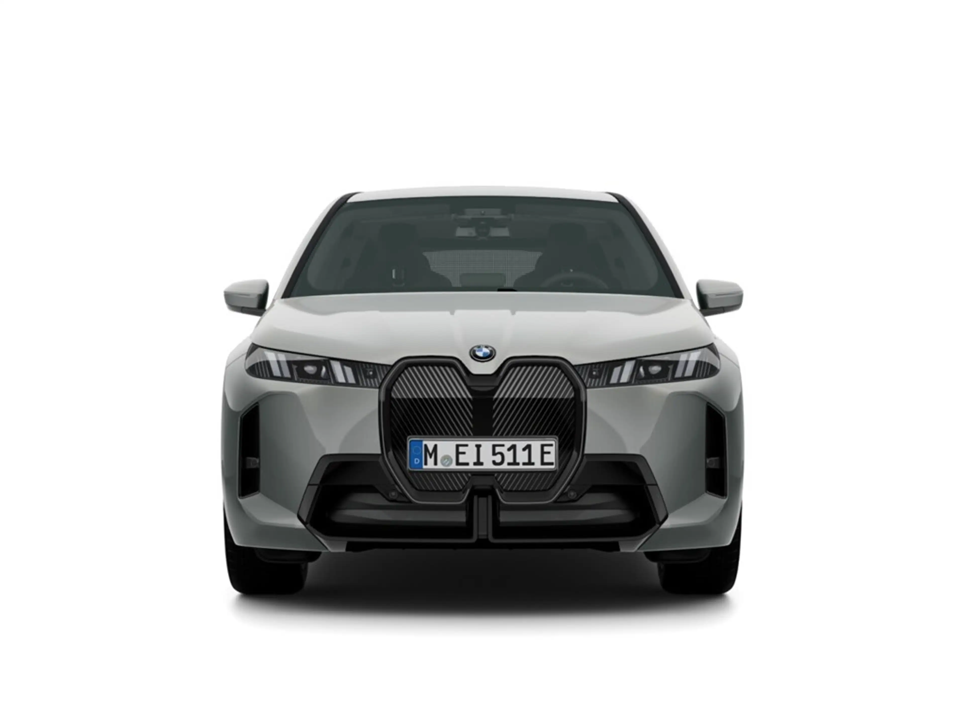 BMW iX xDrive45 M Sport Pro H&K LED Park-Assistent — photo 6