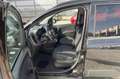 Fiat Panda Panda III 2021 1.2 easypower Gpl s Noir - thumbnail 10