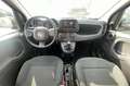 Fiat Panda Panda III 2021 1.2 easypower Gpl s Noir - thumbnail 12