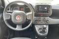 Fiat Panda Panda III 2021 1.2 easypower Gpl s Noir - thumbnail 15
