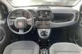 Fiat Panda Panda III 2021 1.2 easypower Gpl s Noir - thumbnail 13