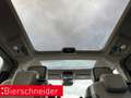 Volkswagen T7 Multivan LÜ 2.0 TDI DSG Style 7-S. VIS-A-VIS NAVI-PRO PANOR Blau - thumbnail 12