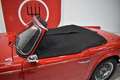 Triumph TR4 A IRS Roşu - thumbnail 25