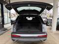Audi Q7 50 TDI S LINE 7 SITZ. MATRIX*PANO*LUFT*AMBIEN Gris - thumbnail 9