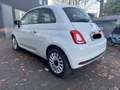 Fiat 500 MY23 1.0 Klima & Sound Tech & Komfortpaket Weiß - thumbnail 3