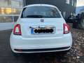Fiat 500 MY23 1.0 Klima & Sound Tech & Komfortpaket Weiß - thumbnail 4