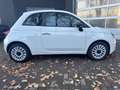 Fiat 500 MY23 1.0 Klima & Sound Tech & Komfortpaket Weiß - thumbnail 6