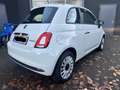 Fiat 500 MY23 1.0 Klima & Sound Tech & Komfortpaket Weiß - thumbnail 5