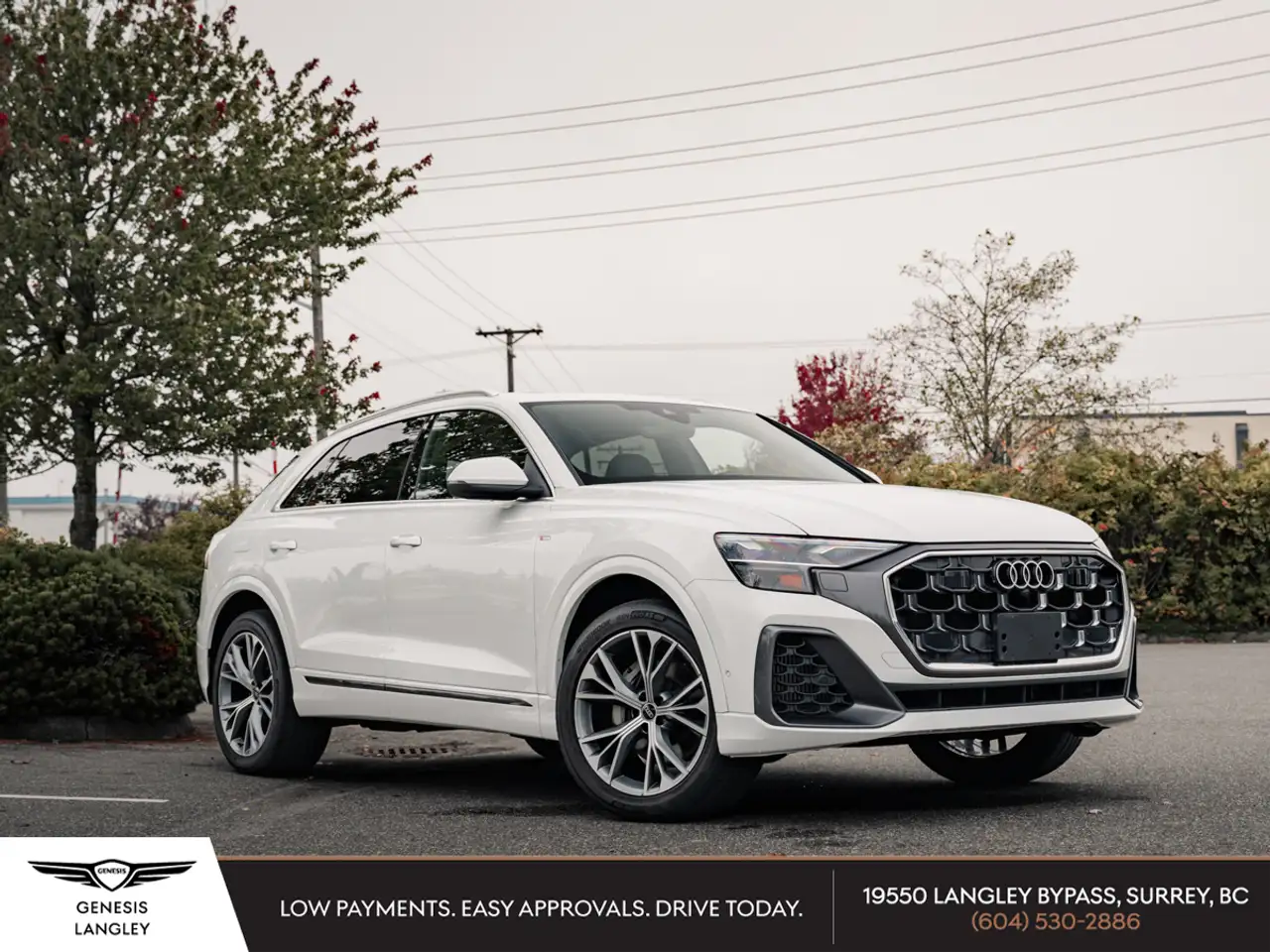 2025 Audi Q8