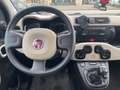Fiat Panda 1.3 MJT S&S 4x4 - 5 posti - ELD Nero - thumbnail 10