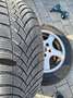 Skoda Octavia Octavia 1,6 Green Line TDI Green Line Schwarz - thumbnail 15