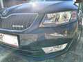 Skoda Octavia Octavia 1,6 Green Line TDI Green Line Schwarz - thumbnail 9