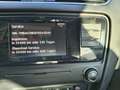 Skoda Octavia Octavia 1,6 Green Line TDI Green Line Schwarz - thumbnail 5