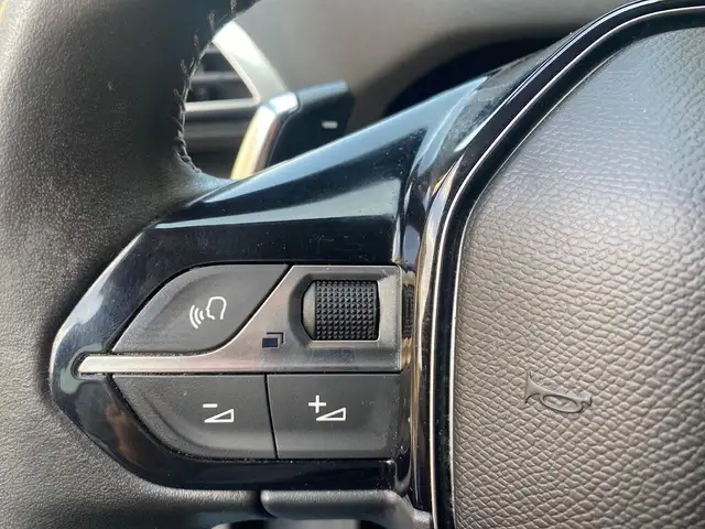Peugeot 3008 view 13