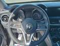 Alfa Romeo Stelvio 2.2 Turbodiesel 210 CV AT8 Q4 Lusso Bronze - thumbnail 21